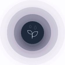 Feature 03